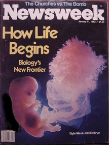 Newsweek: How Life Begins